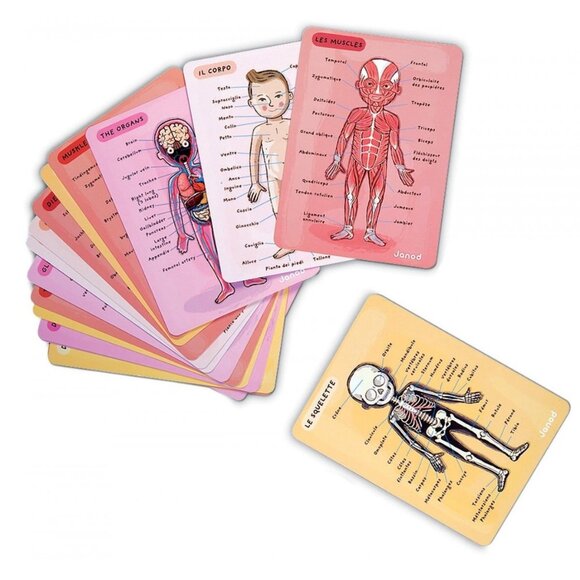 Janod-Body Magnet Human Body Game Magnetic Anatomy Puzzle For Age 7+ New in Box - Picture 11 of 16